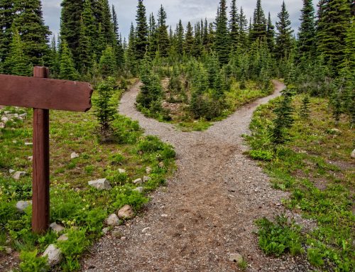 Decision-Making Under Pressure: What Leaders Do When There’s No Good Option